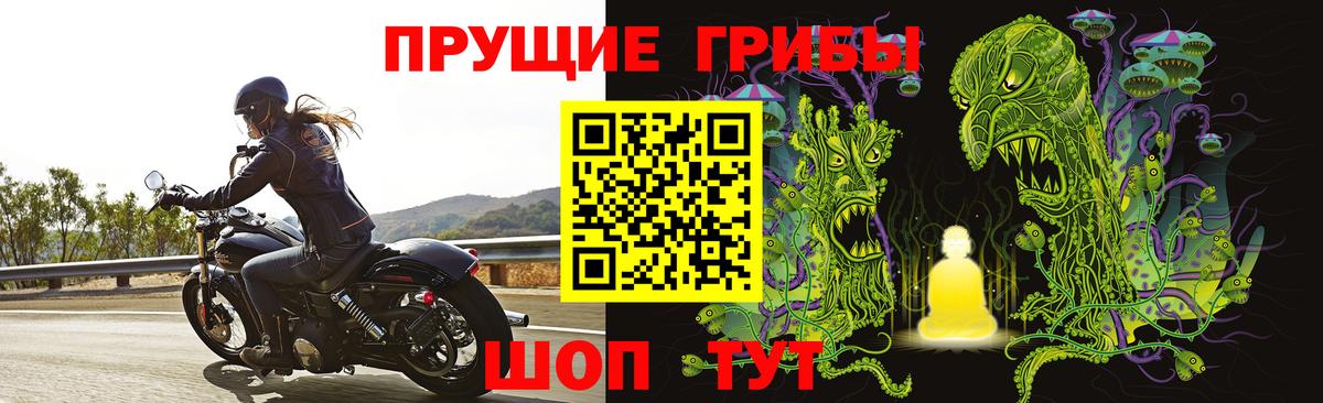 Калач-на-Дону  Псилоцибиновые грибы Cubensis  Вход с VPN 