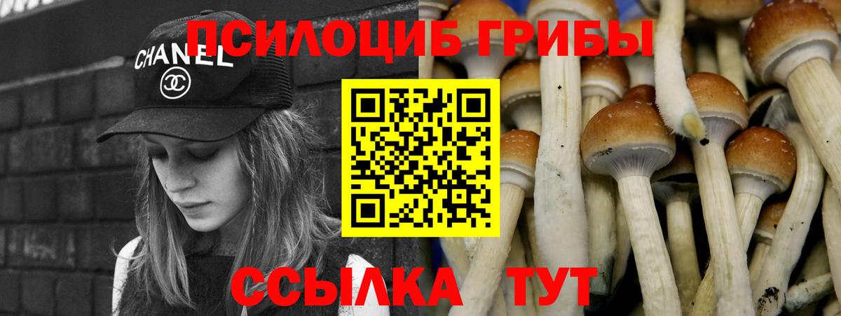 Галлюциногенные грибы ЛСД Калач-на-Дону